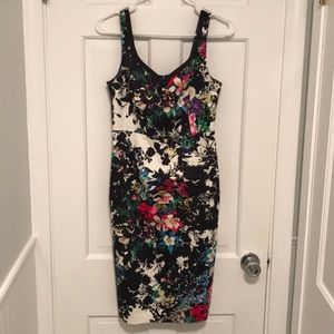 Anthropologie Leifnotes Fitted Floral Dress
